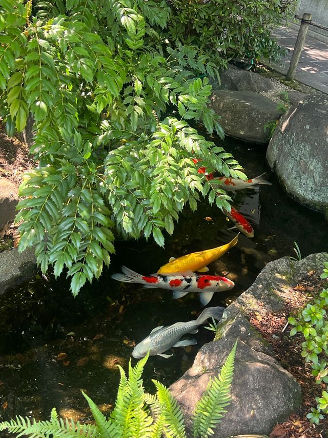 6日深度遊日本 盡享溫泉之旅必收藏