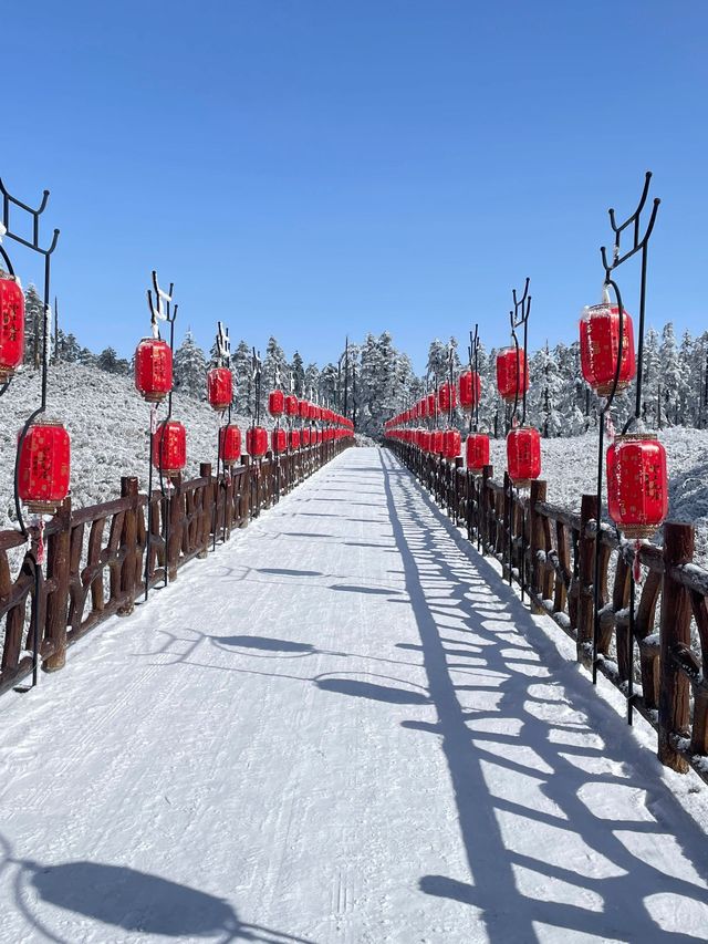 南非等多國連遊12日遊 這幾個地方要去