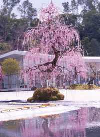 深圳