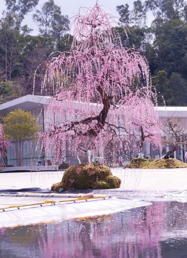 深圳