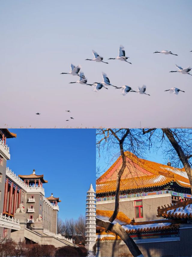 鶴城之旅｜兩天一夜玩轉齊齊哈爾