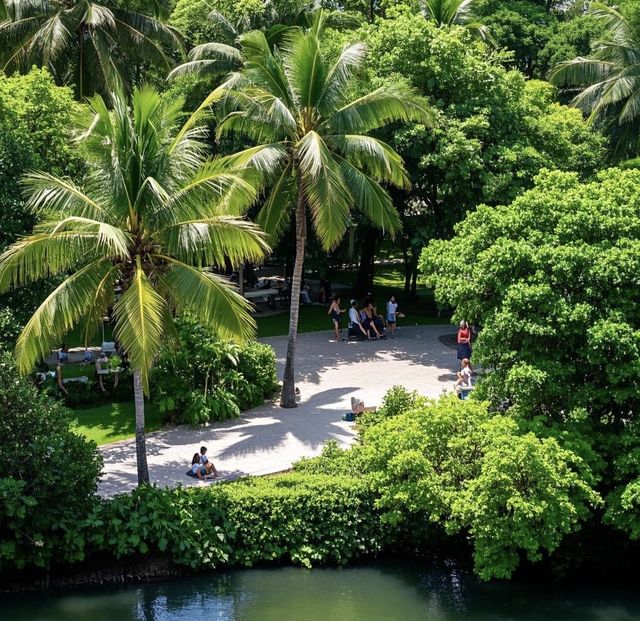 海口萬綠園 | 都市中的綠色氧吧