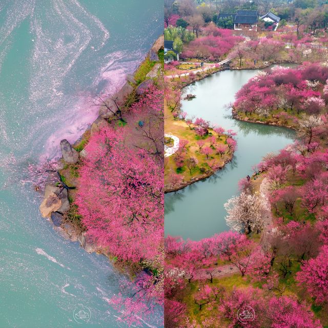 避雷揚州去揚州前 聽點不一樣的大實話吧……