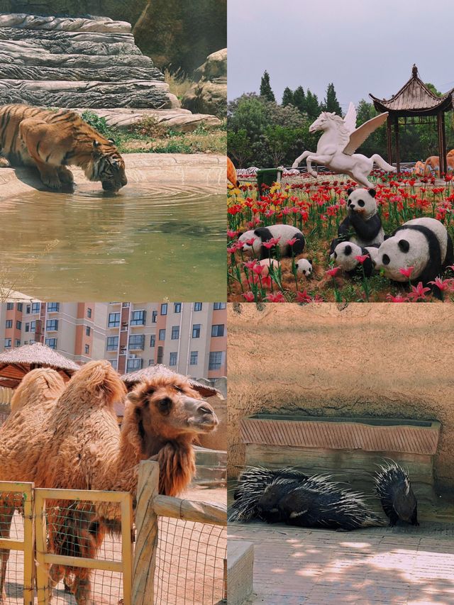 土耳其？不！這是漯河的夢幻熱氣球之旅