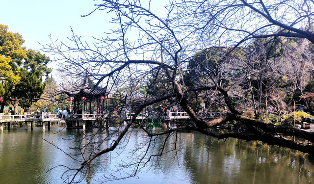 江南古典園林典範｜古猗園半日遊