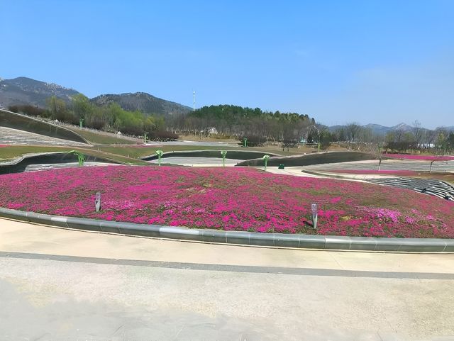 青島「失落」景區，曾耗資180億打造