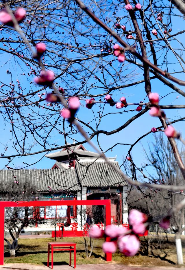 園博園春曉