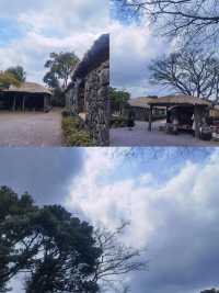 莞島郡：韓西秘境的夢幻詩行