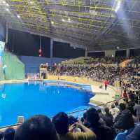 Under the sea! 