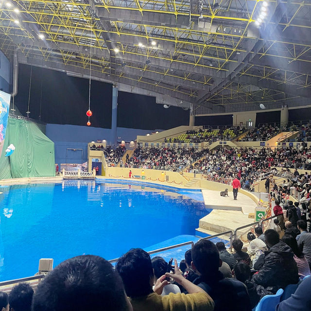 Under the sea! 