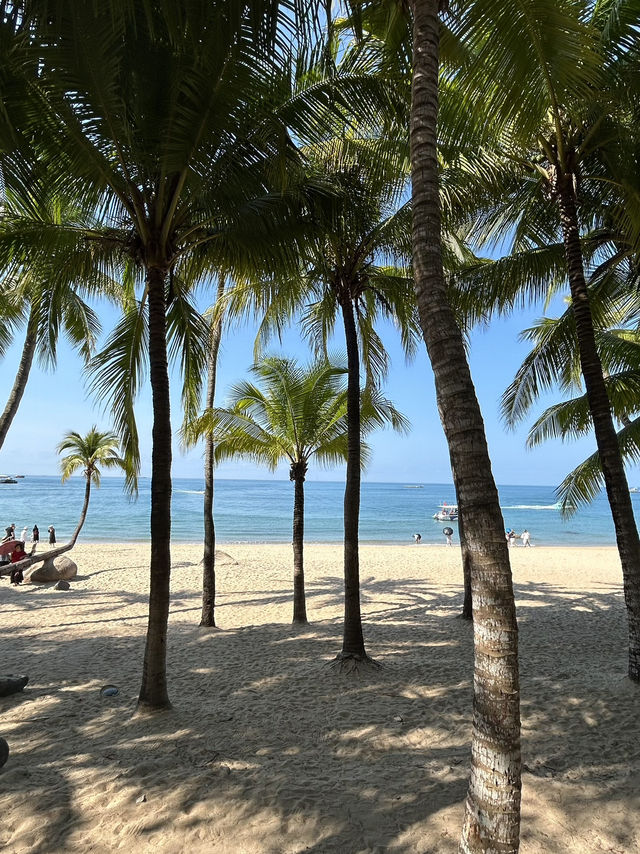 3 Days Itinerary in Tianya, Sanya 🇨🇳 