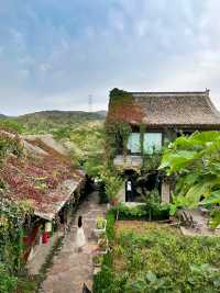 被河南雲台山嘅山野小院治癒咗