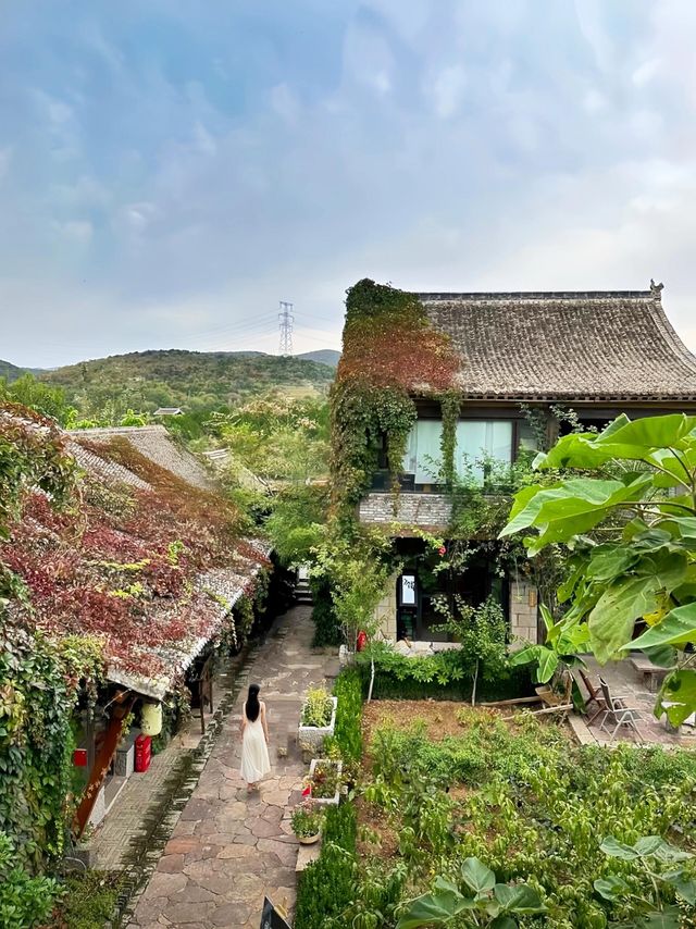 被河南雲台山嘅山野小院治癒咗