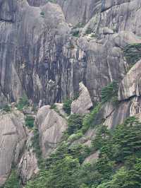 清明小長假 江西婺源-三清山-景德鎮遊玩攻略來啦
