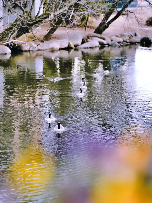 터키 2일 투어, 1인당 3천 위안으로 가볍게 즐기세요