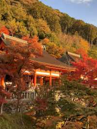 6日小長假 玩轉日本正當時