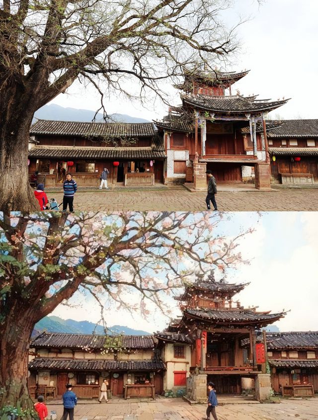 藏於沙溪古鎮中的“國保” 興教寺