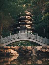 深圳園博園48小時深度美學之旅