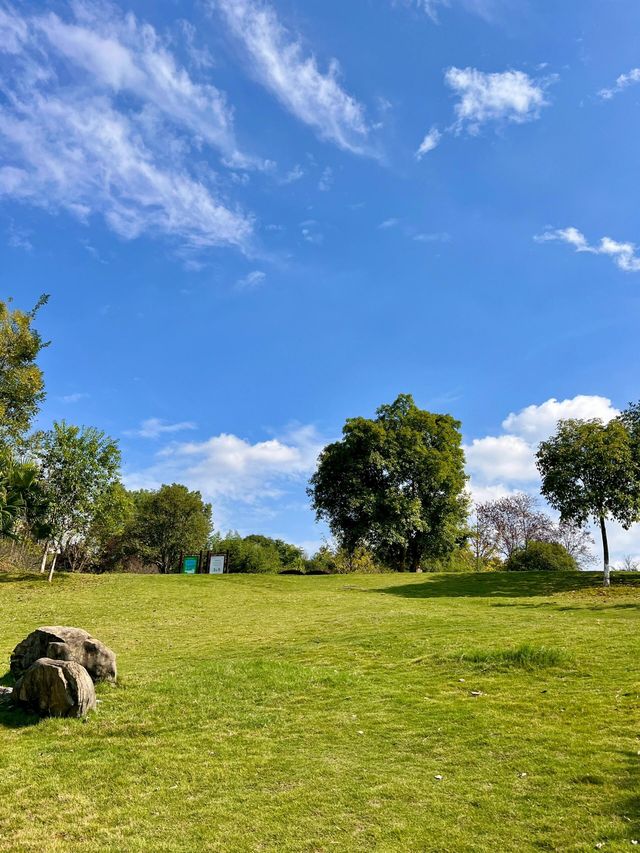 永川觀音山公園