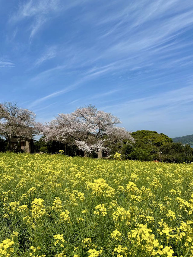 靜謐與繁華的交響——能古島與中洲