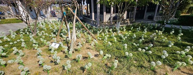 平湖東湖：一城山水半城詩，邂逅千年不語的溫柔