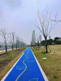 無錫賞櫻天花板！金匱公園超詳細攻略