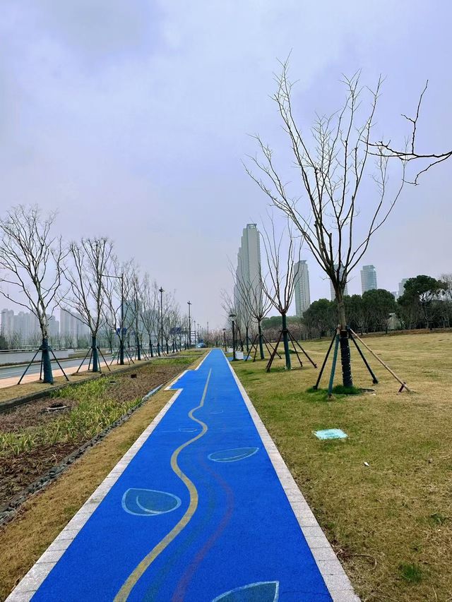 無錫賞櫻天花板！金匱公園超詳細攻略