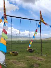 6日暢遊海北等地 玩轉美景不踩坑