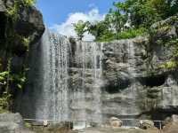 Discover Asia's First Rainforest Adventure Zoo in Singapore!