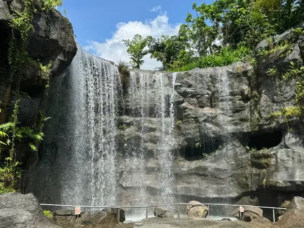 Discover Asia's First Rainforest Adventure Zoo in Singapore!