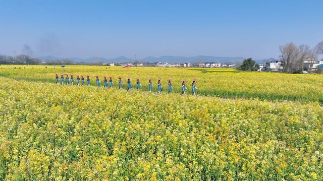 咸寧陽春三月賞油菜花