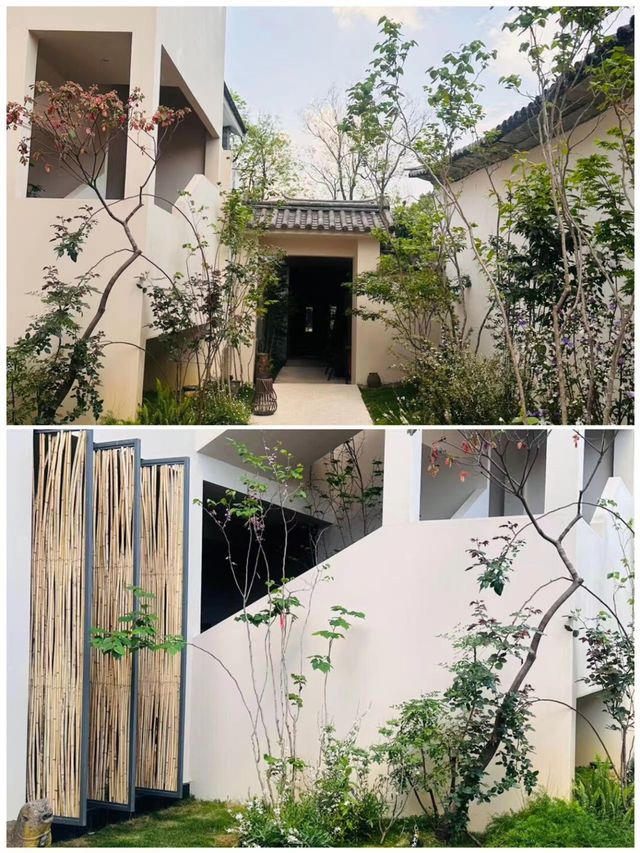 大理帶娃已回，我的建議是…