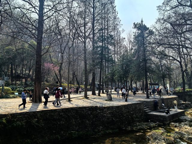 滁州琅琊山
