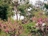 Tangshan Nanhu-Kailuan Tourist Scenic Area: From Coal Mining To The Green Wonder