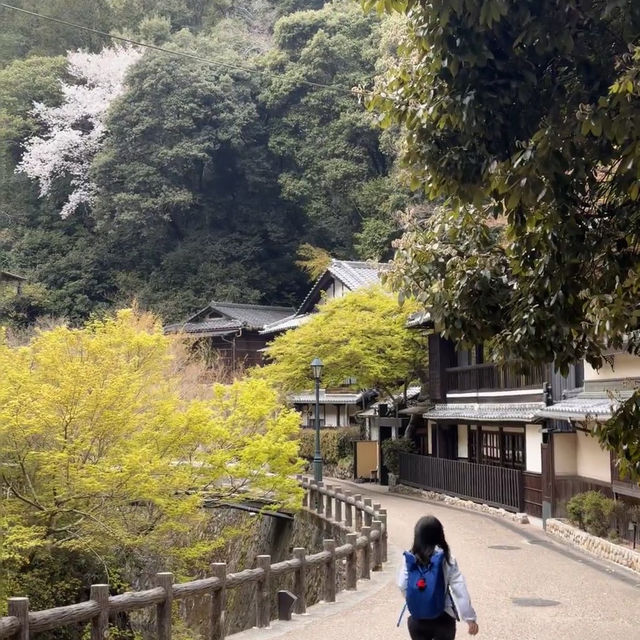 逃離大阪市區喧囂，奔赴箕面北公園吸氧啦🌿
