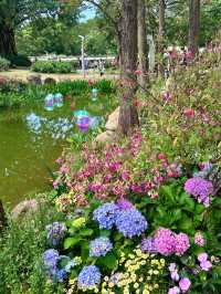 深圳人民公園 | 莫奈秘境花園🫧春日氣氛感  這是深圳市內最早的公園之一，安靜人少，閒暇時來這