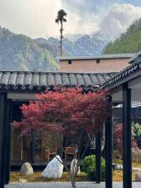 四川海螺溝/二山來-溫泉度假酒店
