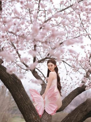 Beautiful Blossoms in Changchun