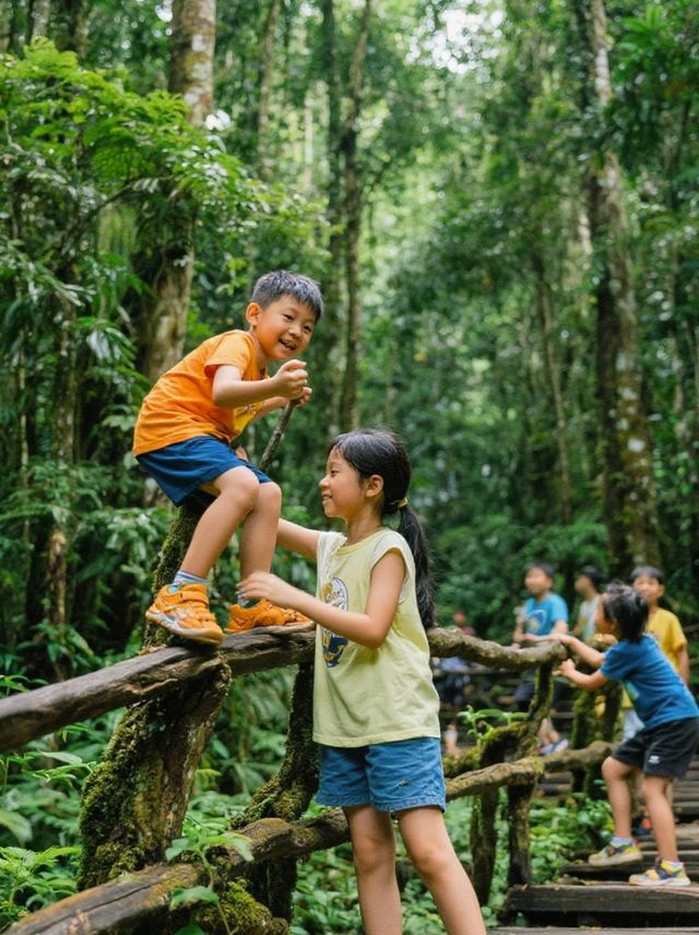 暑假去普洱，暢玩太陽河森林公園