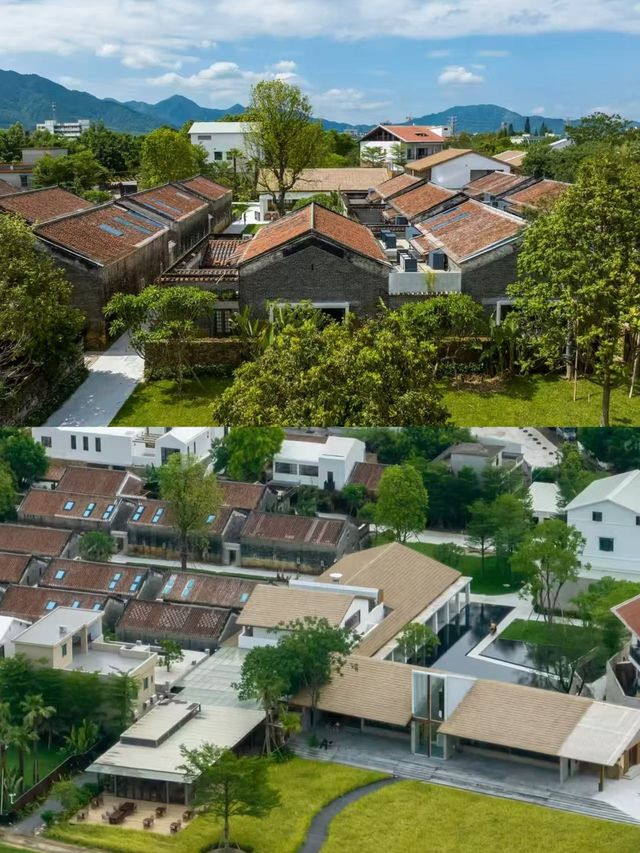 清遠稻田神仙居所！呢間隱世小京都靚到講唔出嘢！