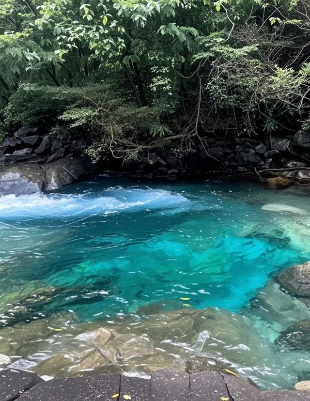 探索連雲港：山海相擁的詩意之旅
