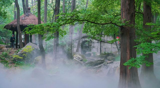 陰雨天的迷霧森林，封神！