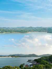 城市人嘅下鄉記：魚頭湯飲到飽，竹海茶園任影唔嬲