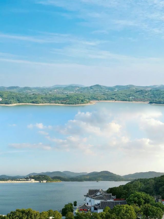 城市人嘅下鄉記：魚頭湯飲到飽，竹海茶園任影唔嬲