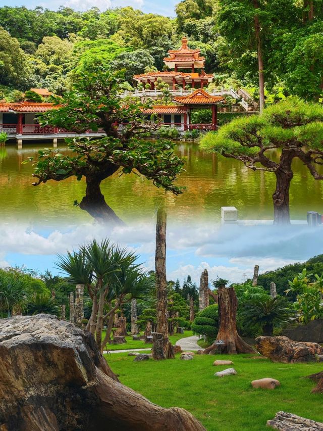 如果你嚟深圳，我一定會帶你去仙湖植物園！
