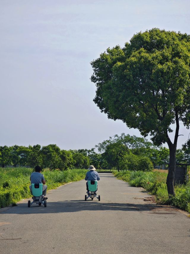漩門灣濕地公園冇人嘅感覺實在太正啦