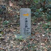 粉嶺到大埔這條小眾行山路線⛰️