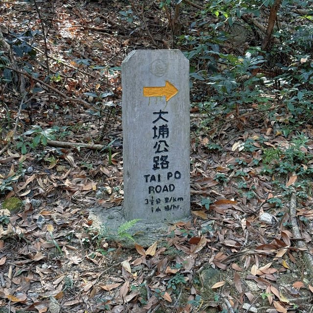 粉嶺到大埔這條小眾行山路線⛰️