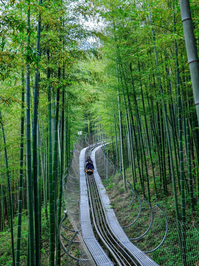 端午安吉攻略｜6分鐘直達雲上草原！