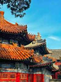 長春萬壽寺︳端午粽情祈福